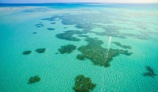 Prognozy i webcamera