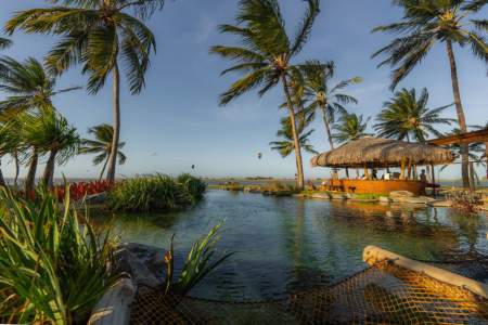 ilha-do-Guajiru-bambu