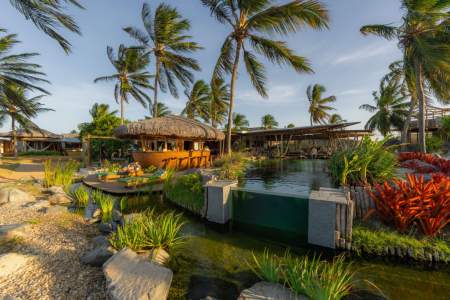 ilha-do-Guajiru-bambu